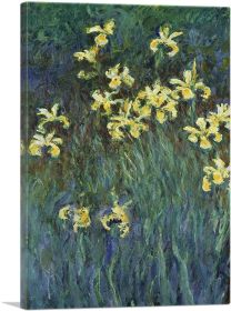 Yellow Irises (Type: Standard Framed Canvas Print, size: 32" x 24" / 80cm x 60cm (approx))